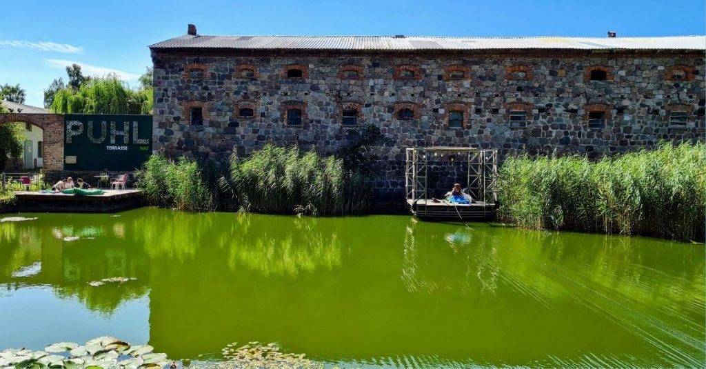 Gruener Loeschteich vor Steinhaus mit Seerosen und einer Wasser-Terrasse